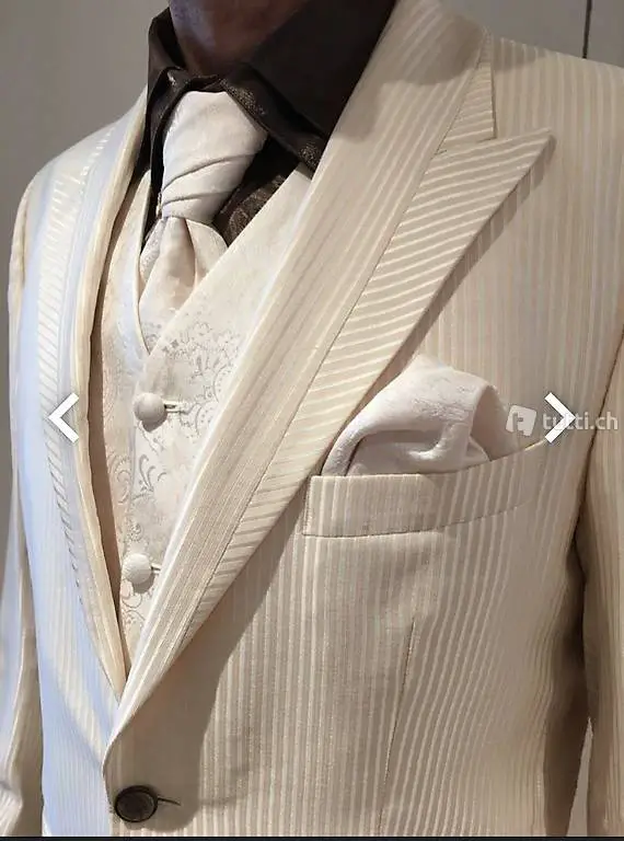 Hochzeitsanzug Bräutigam 5-teilig Anzug