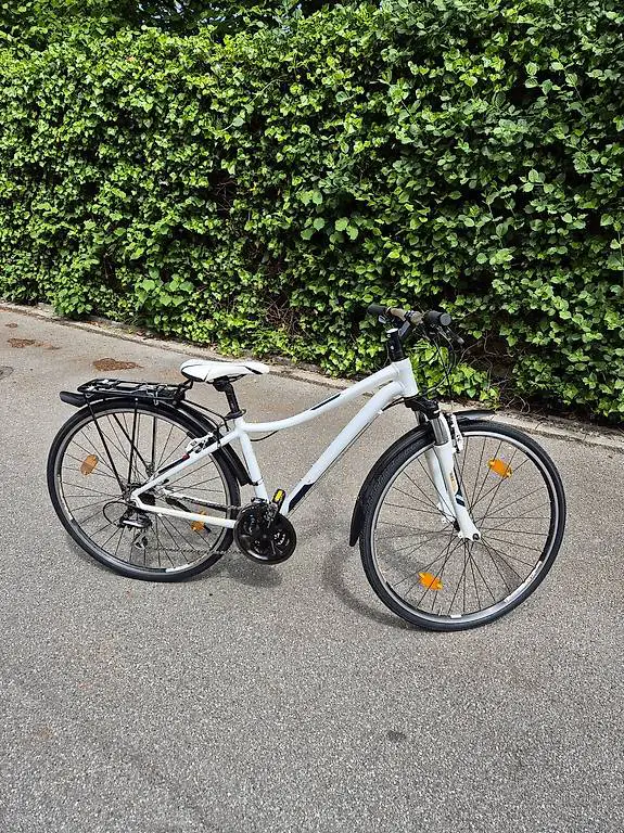 Fahrrad Jugendvelo Trek frisch ab Service