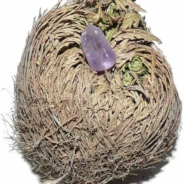  Rose von Jericho mit Amethyst