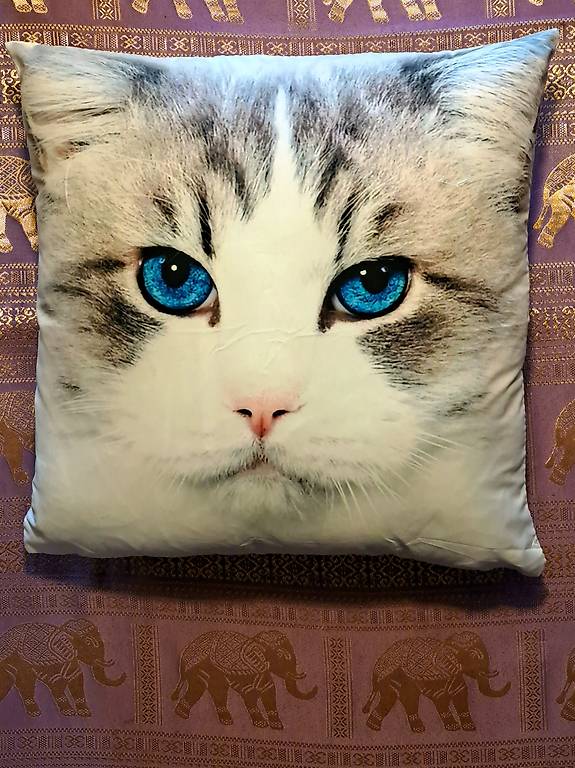 kissen - katze - neu - grösse: 45x45cm