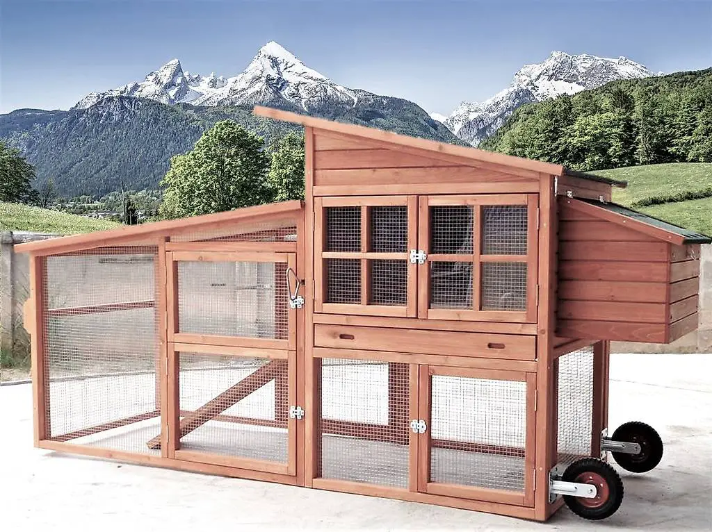 isolierter hasenstall hühnerstall kaninchen enten wachteln m