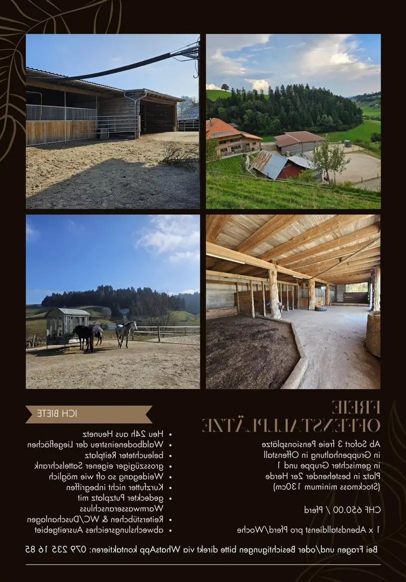 Offenstallplatz in Schwanden im Emmental