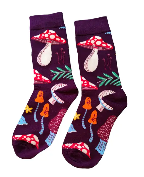 Socken Pilze