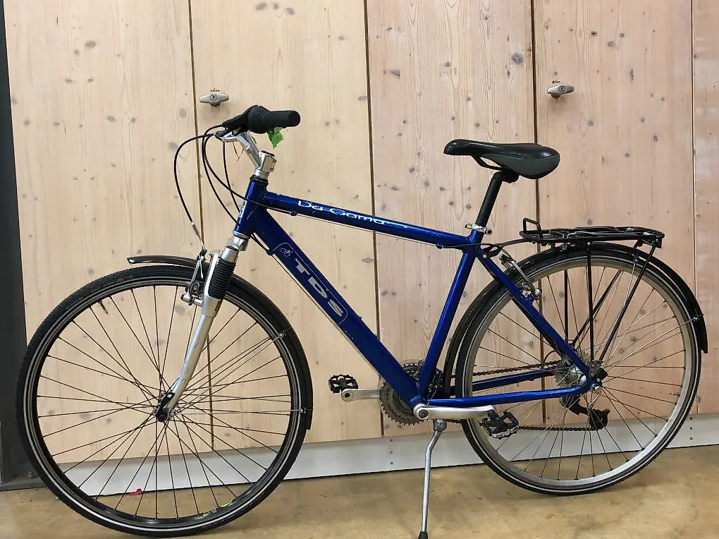 Elegantes Herrenvelo TDS Dagama 48cm B24/215