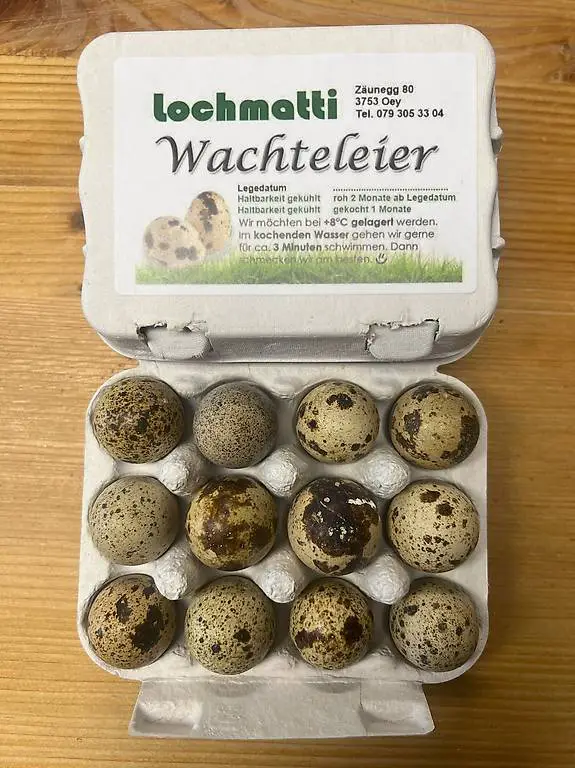 Speiseeier Legewachteln