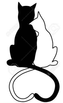 Liebevolle Katzenbetreuung, Catsitting Züri Oberland