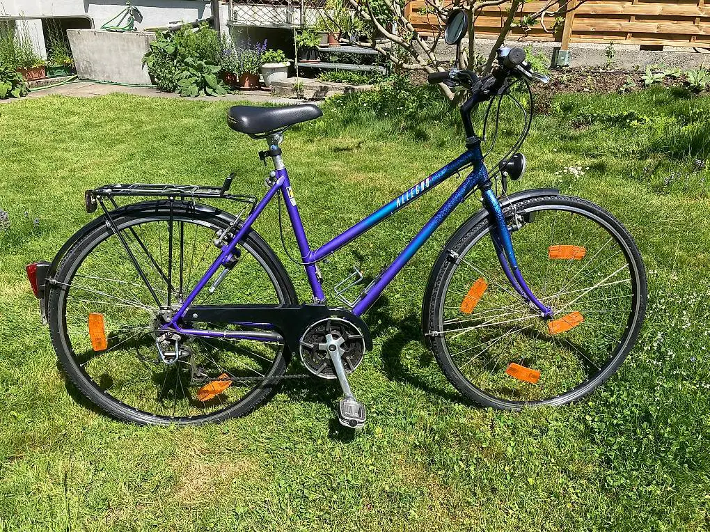 Sehr schönes Allegro Citybike, wenig gebraucht, neu bereift