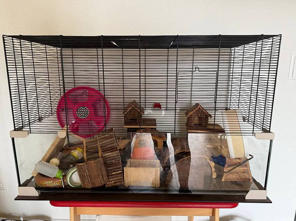 Stylisches Glasterrarium mit Gitteraufsatz + viel Zubehör