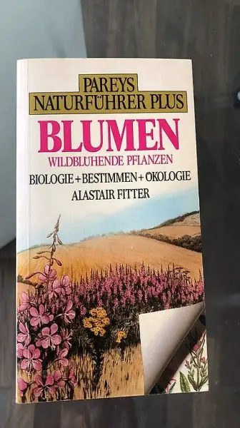 Buch blumen