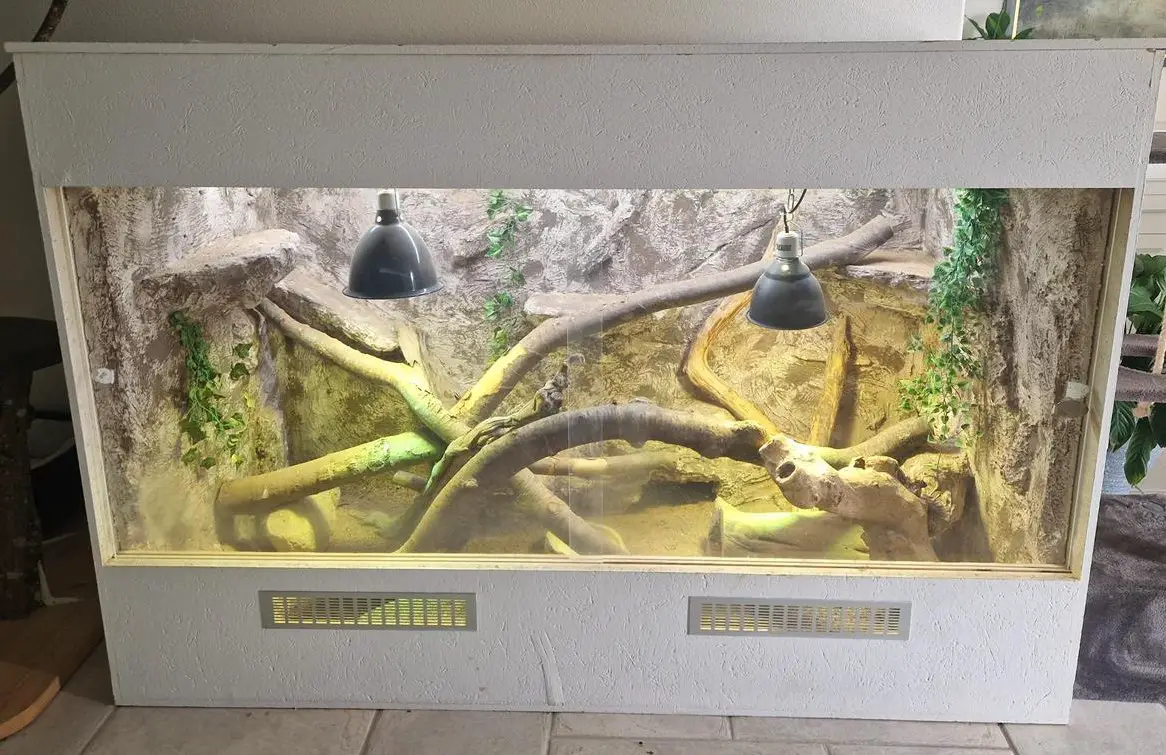 Holzterrarium mit diversem Zubehör abzugeben