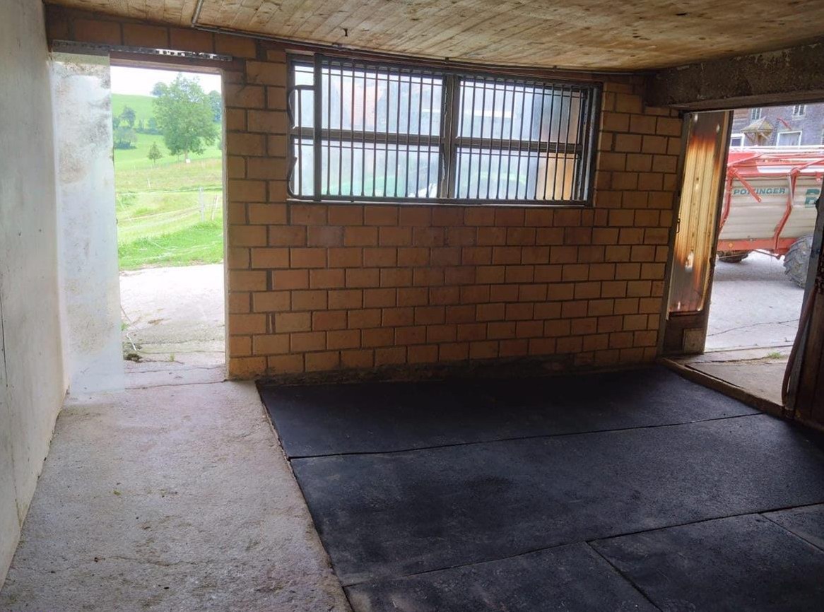 Pferdebox mit Auslaufmöglichkeit zu vermieten in Ruswil LU