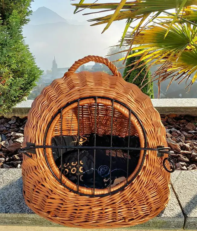 Katzenkorb Transportbox