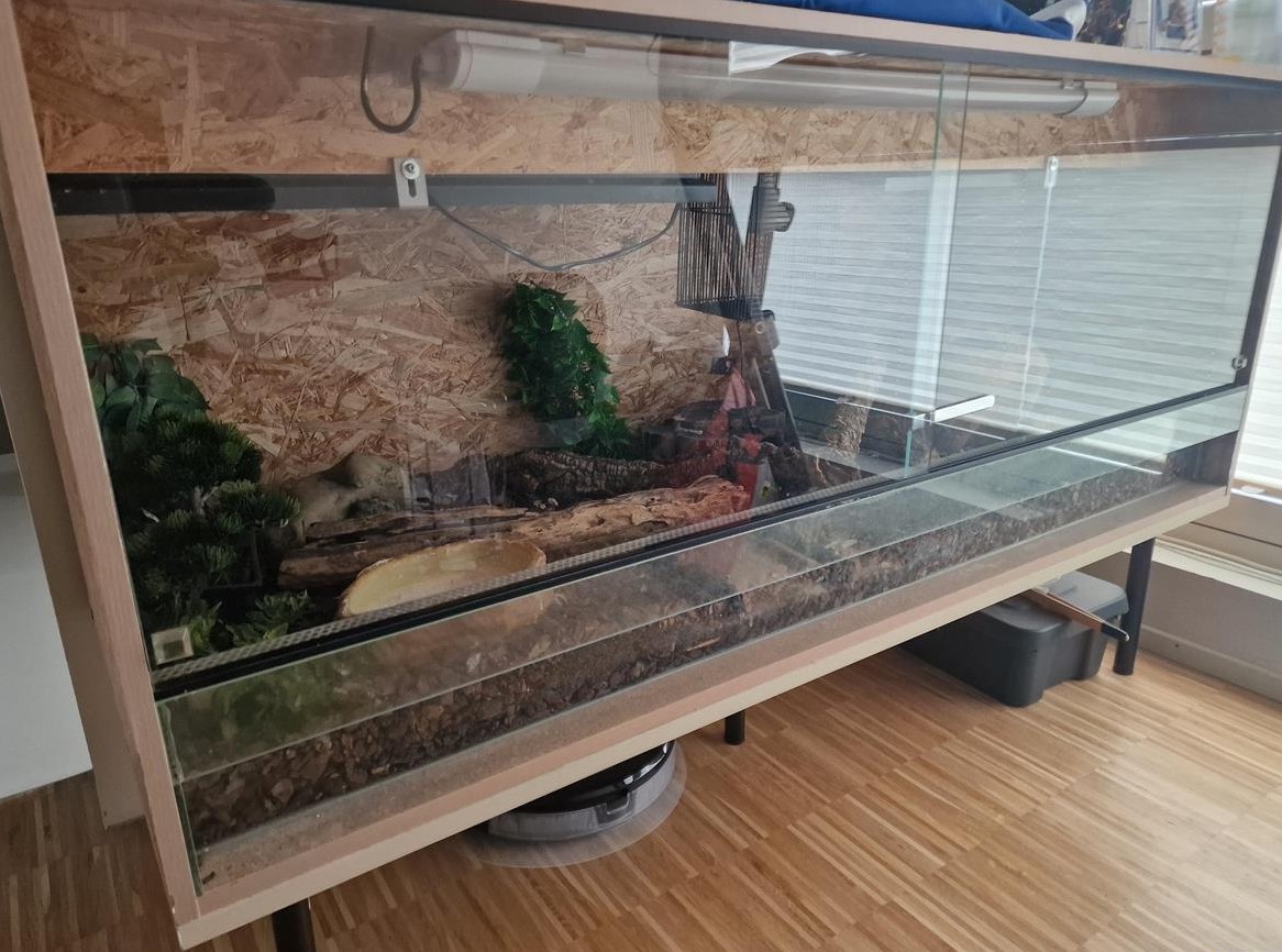 Terrarium 150x60x60cm mit Inhalt GRATIS abzugeben