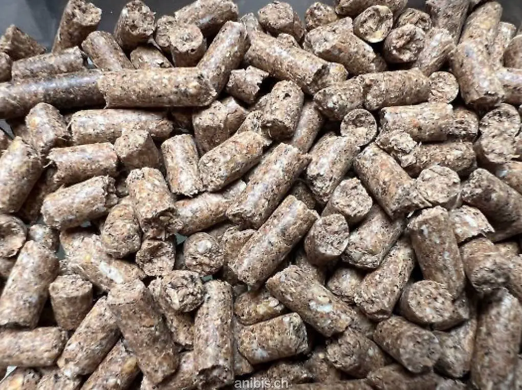 ACTION nourriture spéciale Crevette, non polluantes