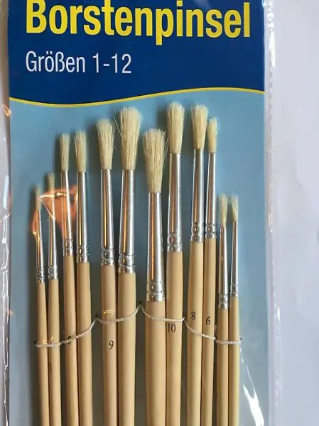 12 teiliges Borsten Pinsel Set