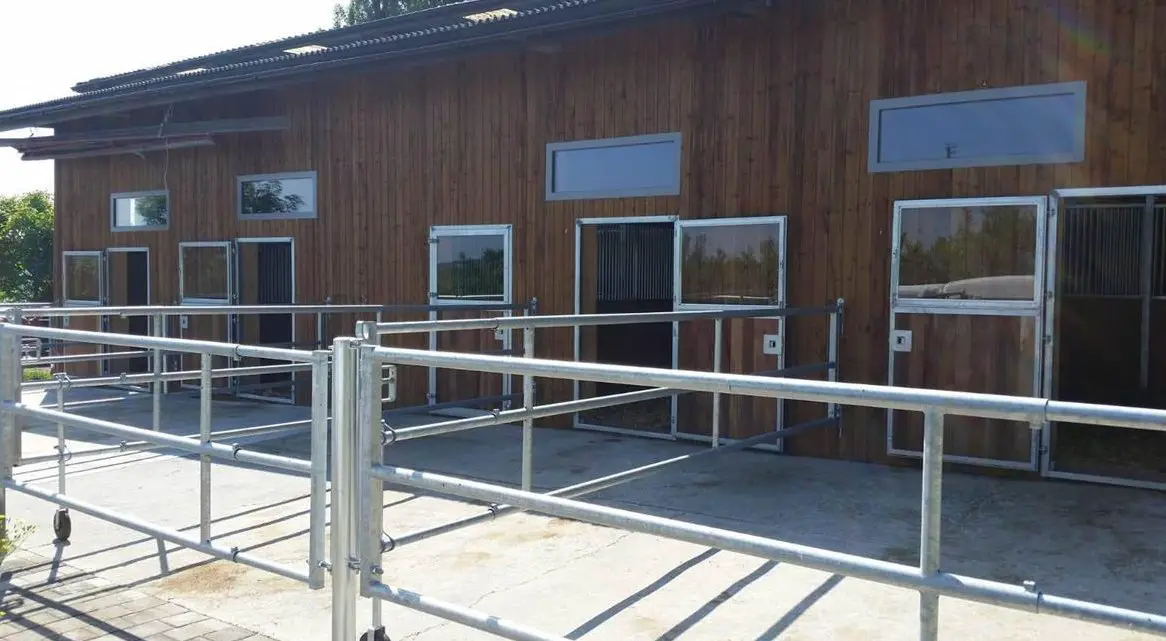 Freie Auslaufboxe und Fensterboxe in Winikon LU