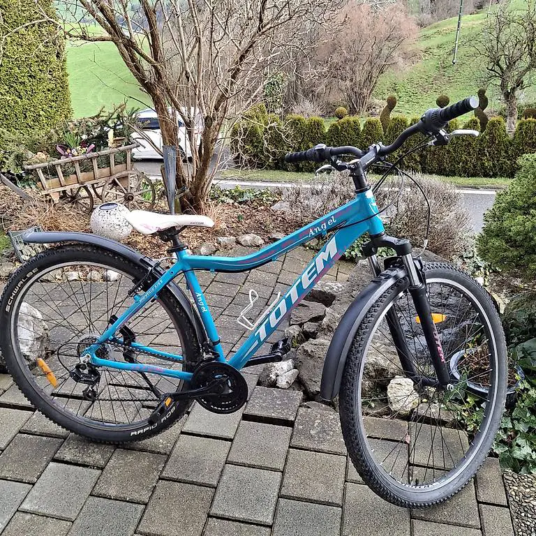 29 zoll bike
