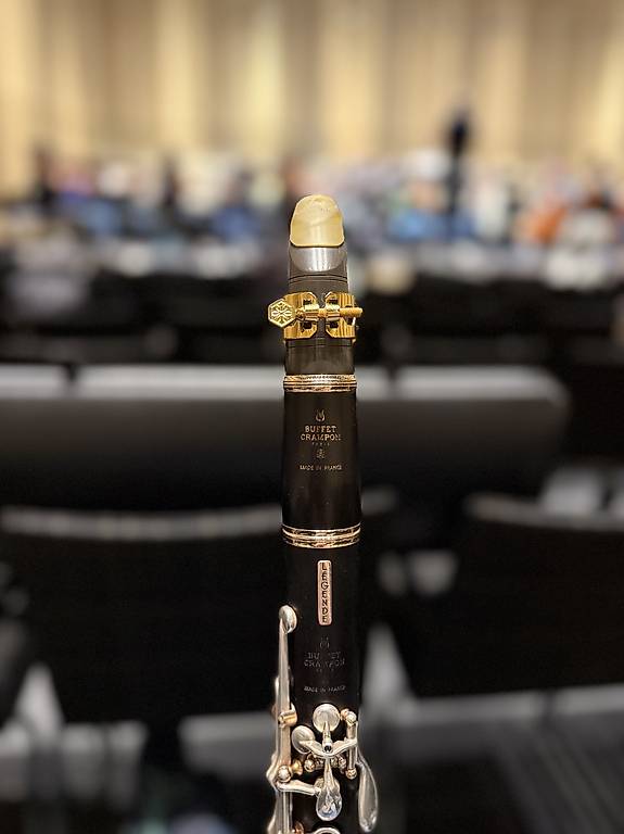 Klarinetten Mundstück Licostini RG Silber