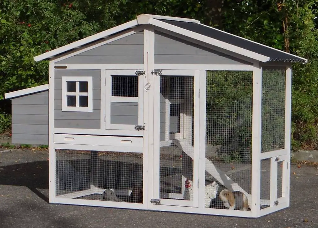 Pollaio 3 -4 polli Niels tetto in