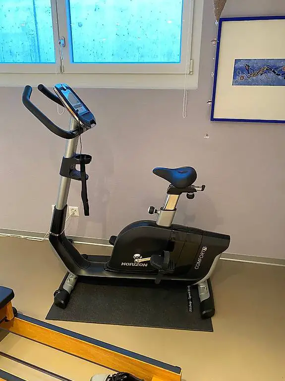 Fahrrad-Ergometer von Horizon