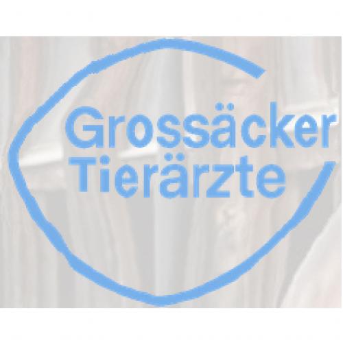 Tierärzte Grossäcker AG