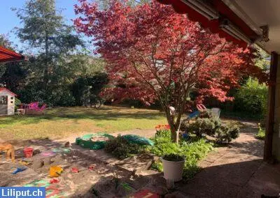 Kita Königskind - freie Betreuungsplätze für Kinder ab 3 Mt. bis 10 Jahre