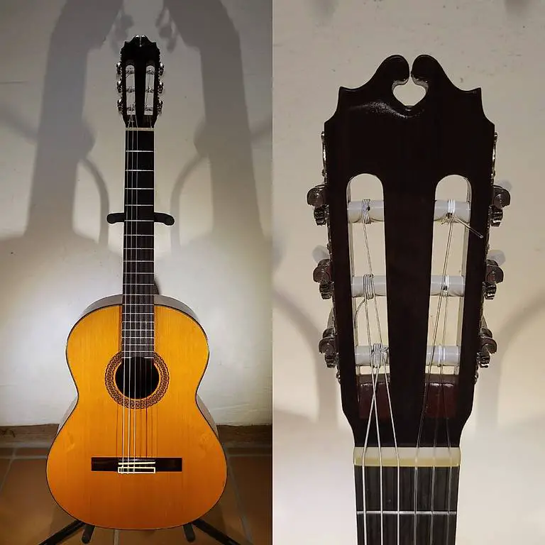 Akustik Gitarre Vimus 18