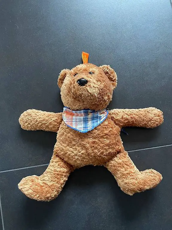 Wärmekissen Bär mit Rapssamen