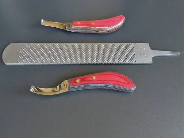  Tolles 3 teiliges für die Hufpflege ? Doppia/Zac