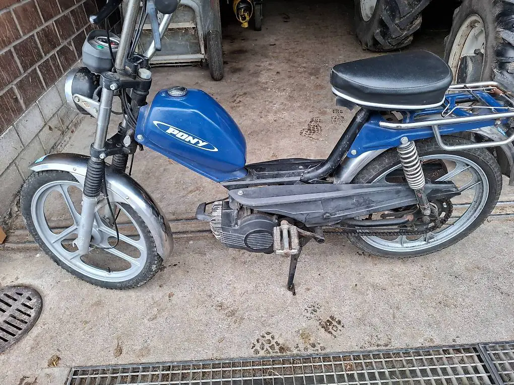 PONY GTX, sehr günstig