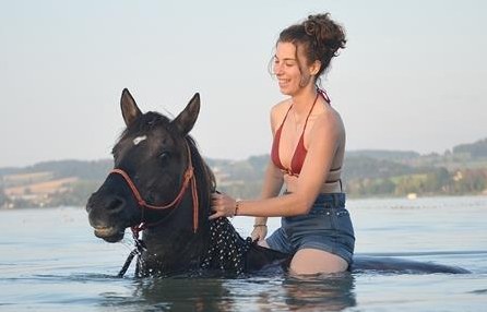 Freie Praktikumsstelle auf Pferdehof in Bern per sofort oder n.V.
