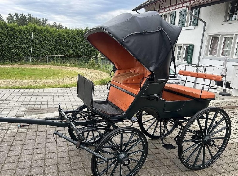 Kutsche Französischer Phaeton zu verkaufen