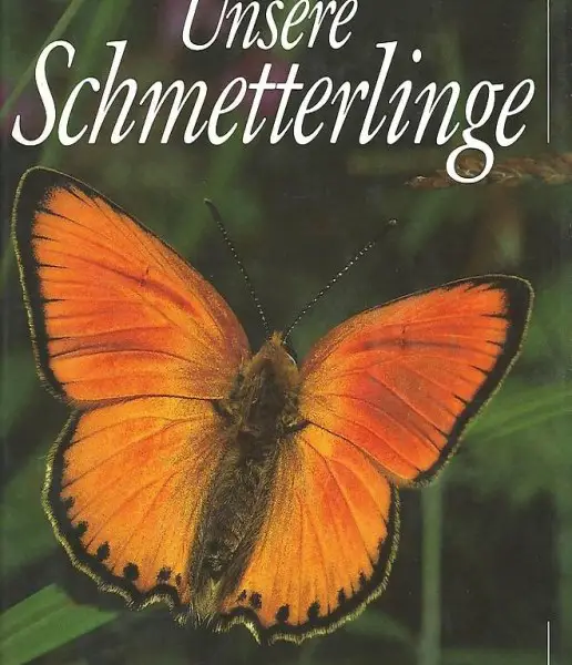Schmetterlinge