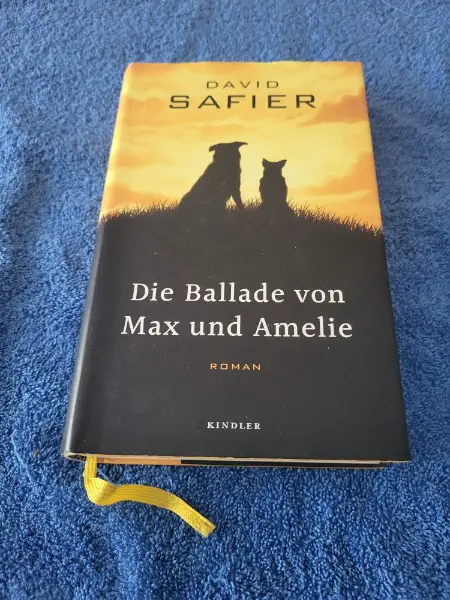 Die Ballade von Max und Amelie von D. Safier