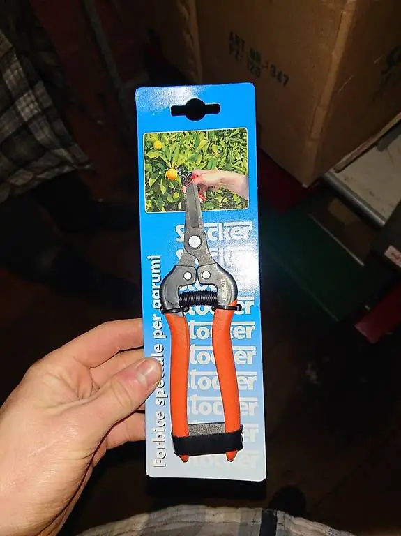 Stocker Alka Aufpflückscheren Pflückschere Lesescheren