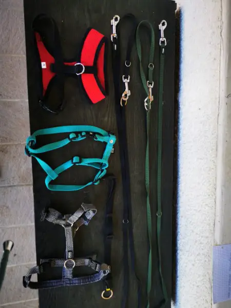 Set pour chiots jusqu"a 10 kg