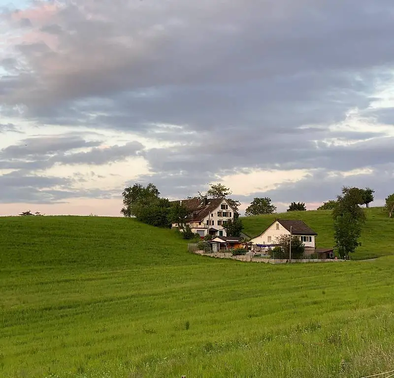 2,5 Zimmerwohnung im Grünen in Oetwil am See