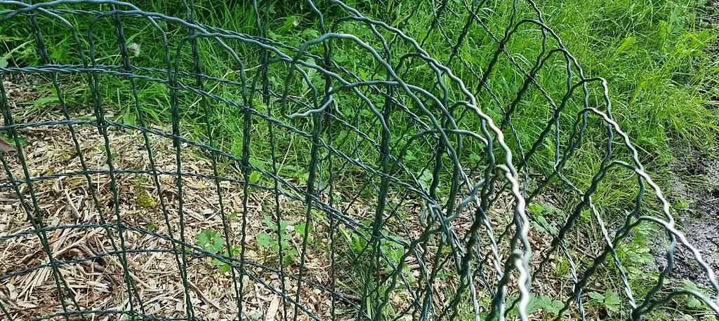 Staudenhalter, Beetzaun