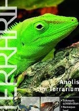 Suche Terraria Magazin Ausgabe Nr. 03 | Anolis im Terrarium