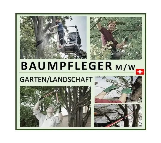 Baumpfleger/Gärtner (m/w) CH-Kt. Zürich - per sofort/laufend