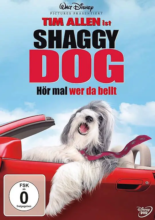 Dvd Shaggy Dog Hör mal, wer da bellt Disney (2004)