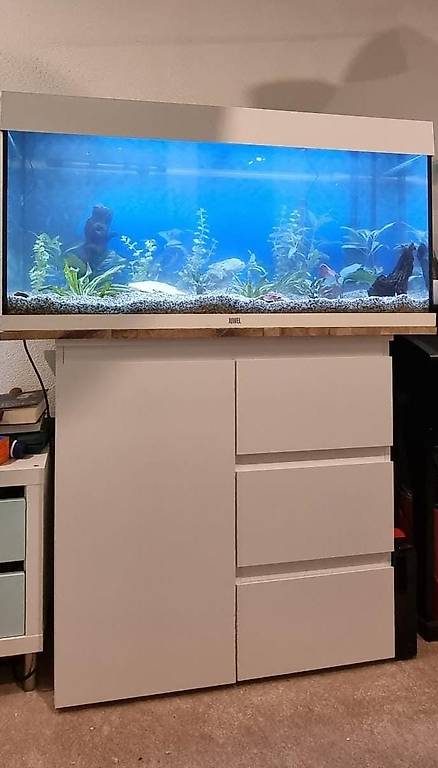 Komplettes Juwel Aquarium 240l
