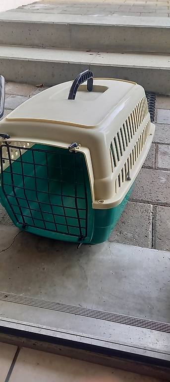 Transportbox Katze guter Zustand