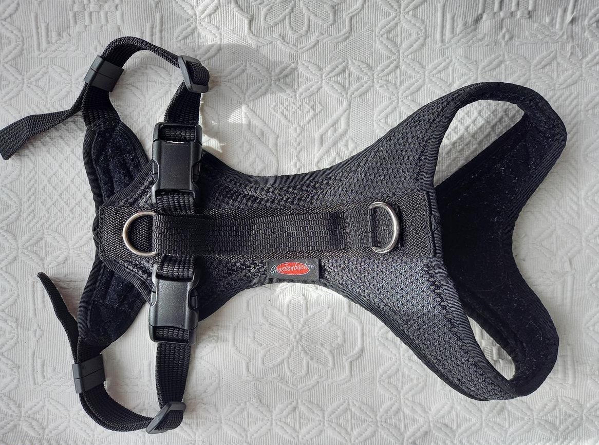 Hundegeschirr Grossenbacher zu verkaufen