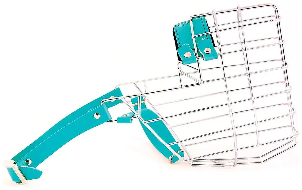 Muselière fil berger allemand mâle (Chopo)