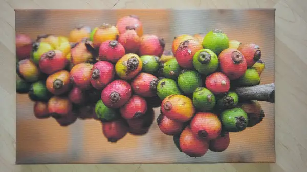 Leinwandbild "KAFFEE"