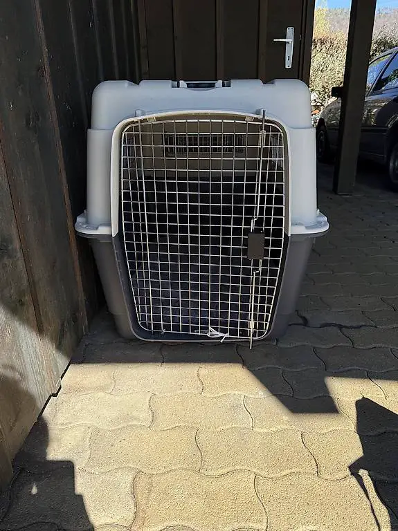 Hundetransportbox gross