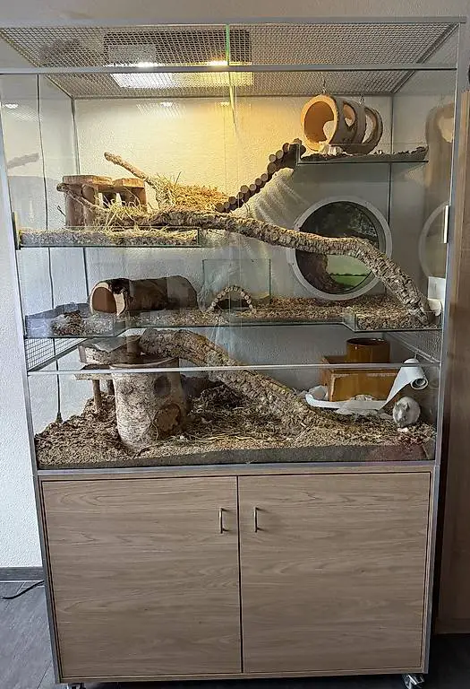 Degu Terrarium (Adrian Rieser)