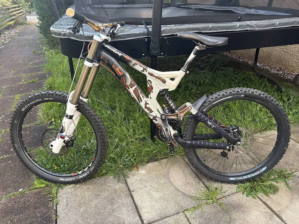 Downhill Bike Specialized