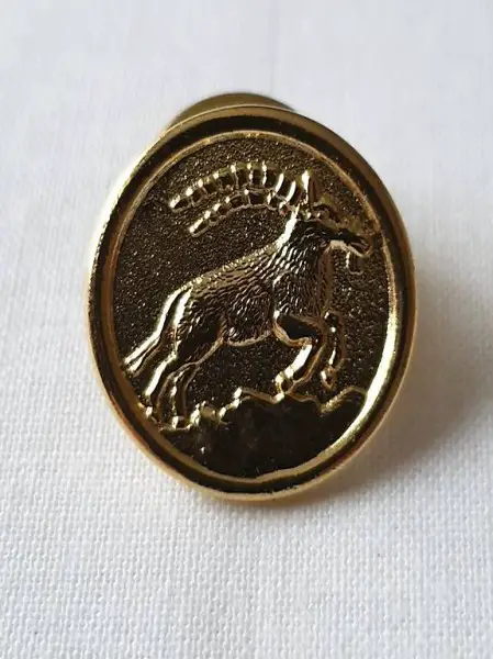  STEINBOCK Sternzeichen PiN